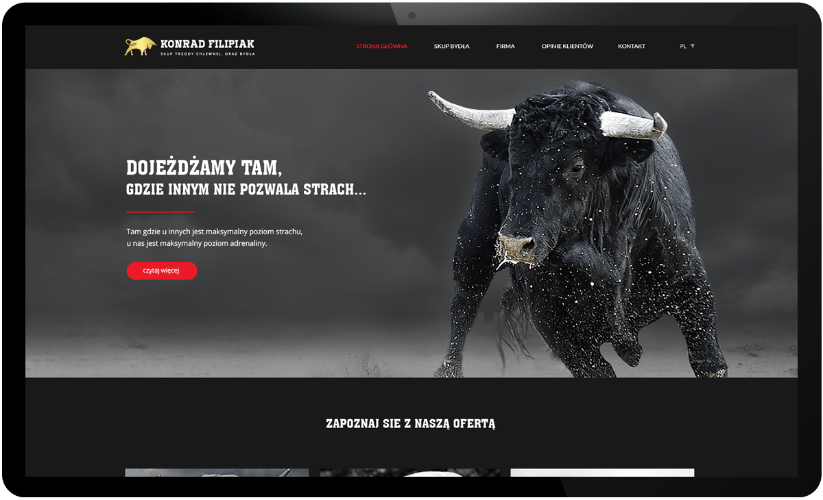 projekt strony internetowej skup bydła